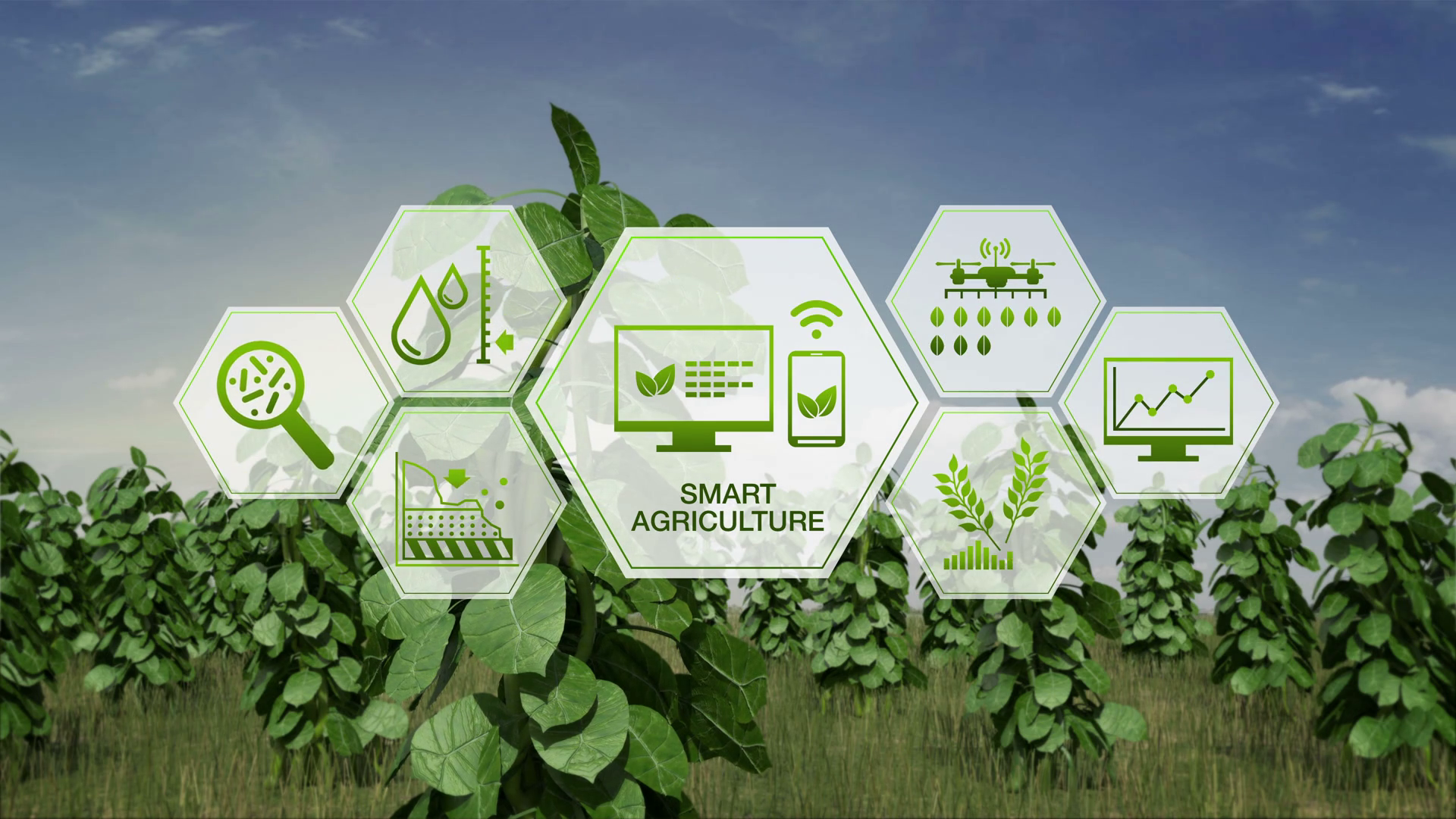essay on smart agriculture